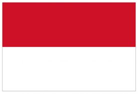 如何进行印尼专利申请？