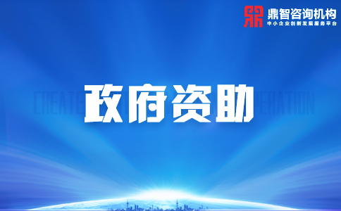 深圳市大鹏新区企业进行技术改造升级扶持项目申报指南