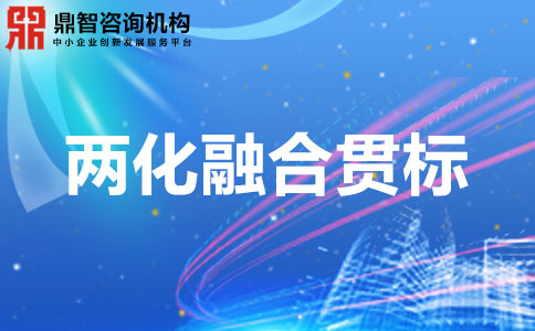 关于深圳市大鹏新区两化融合管理体系贯标扶持项目申报指南