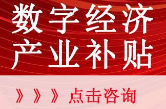 数字经济产业扶持计划项目申报指南