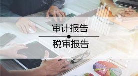 出具审计报告需要提供什么资料？