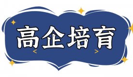 2024年高新技术企业培育入库好处及入库条件