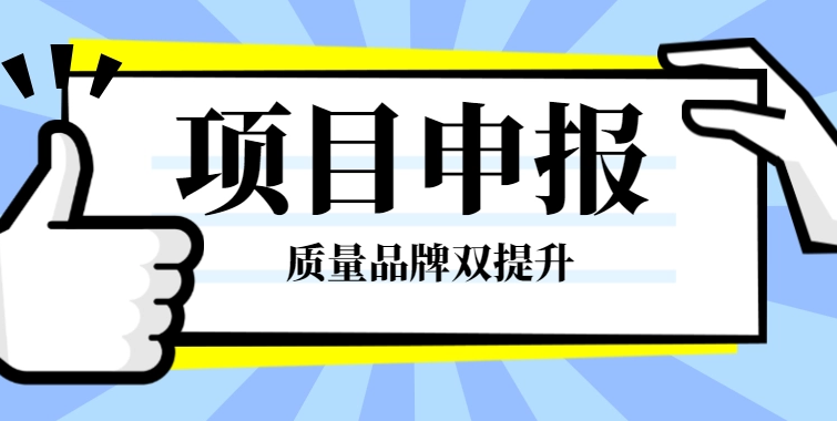 2022年质量品牌双提升服务指南