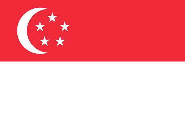 新加坡公司